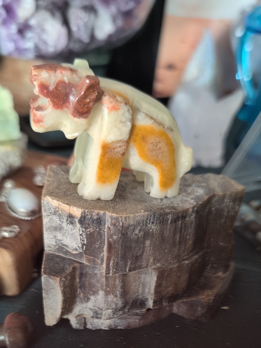 Roar Lion On Petrified Wood